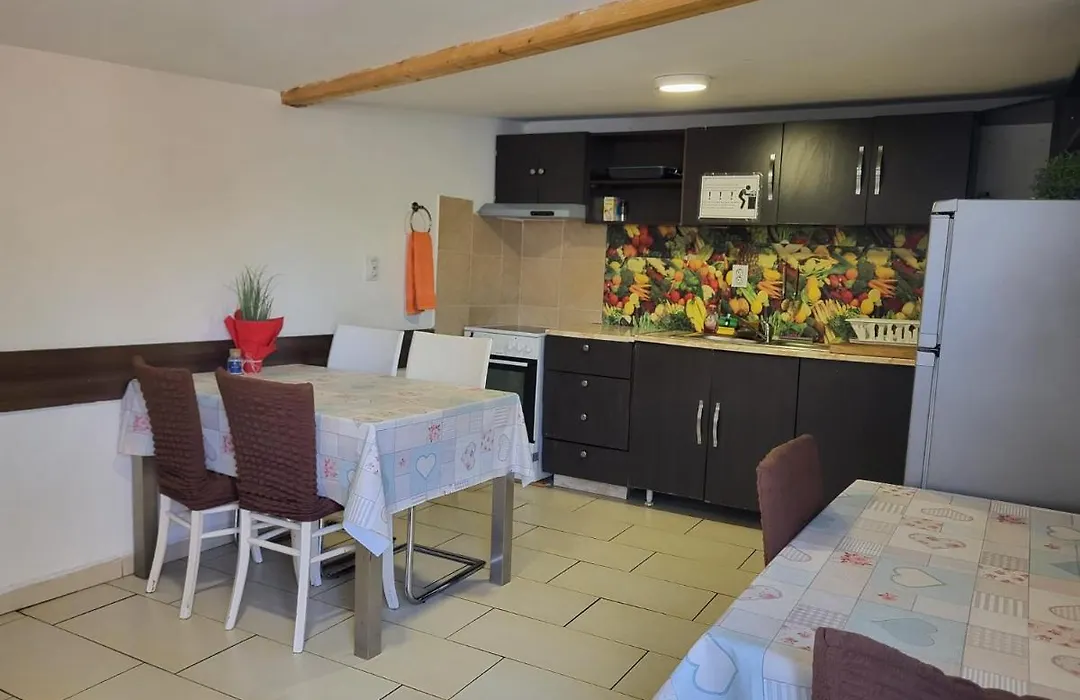 Pension Haus Baron 1 Neckarau-1