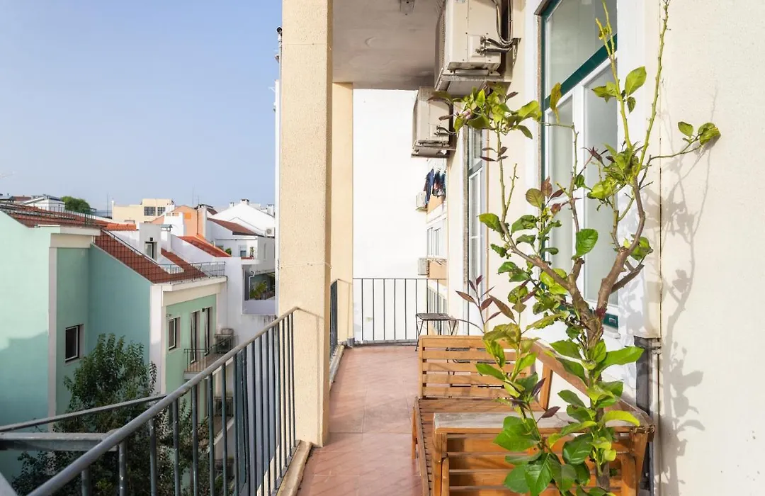 Estrela Guesthouse-1