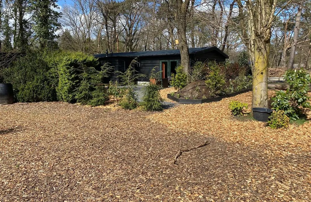 De Veluwse bos Lodge-1