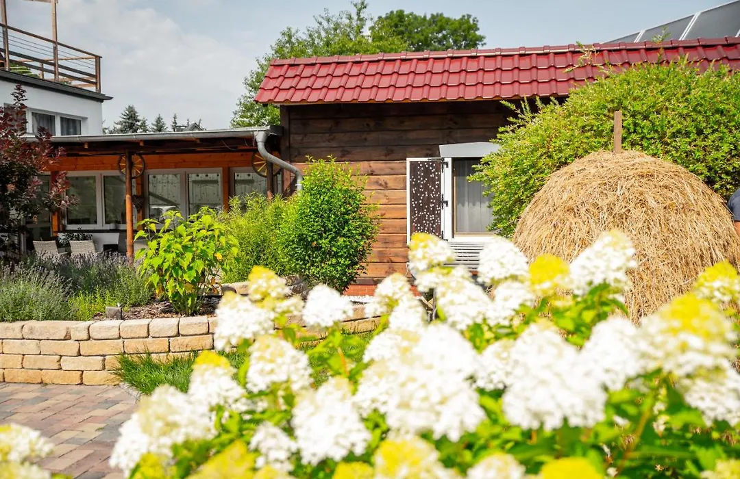 Spreewald Pension Tannenwinkel-1