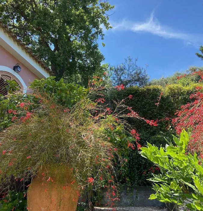 Villa Britannia-1