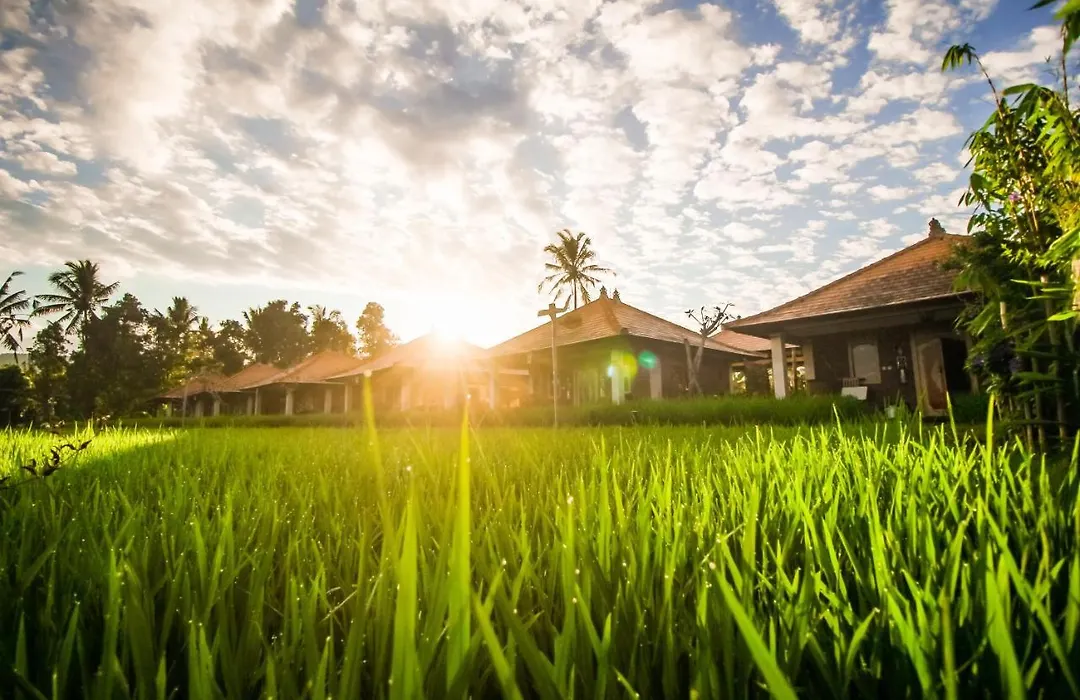 Sri Lestari Banyuatis-1