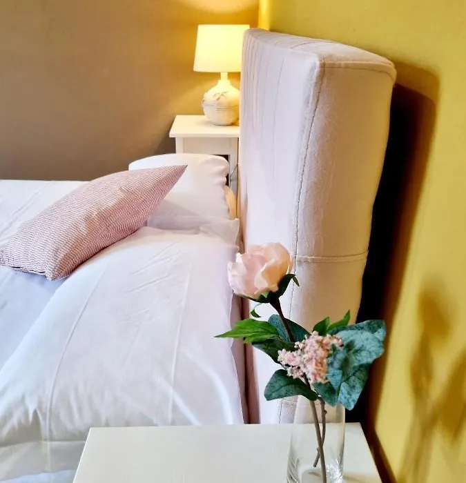Rose Guest House-1