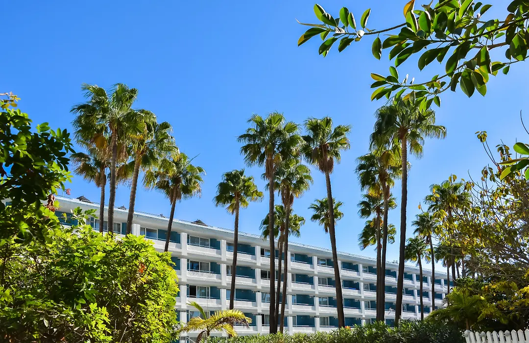 Playa Del Sol - Adults Only-1
