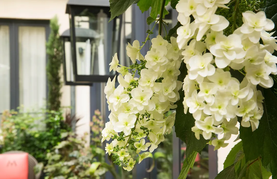 Hôtel Villa Madame - Saint-Germain-des-Prés-1
