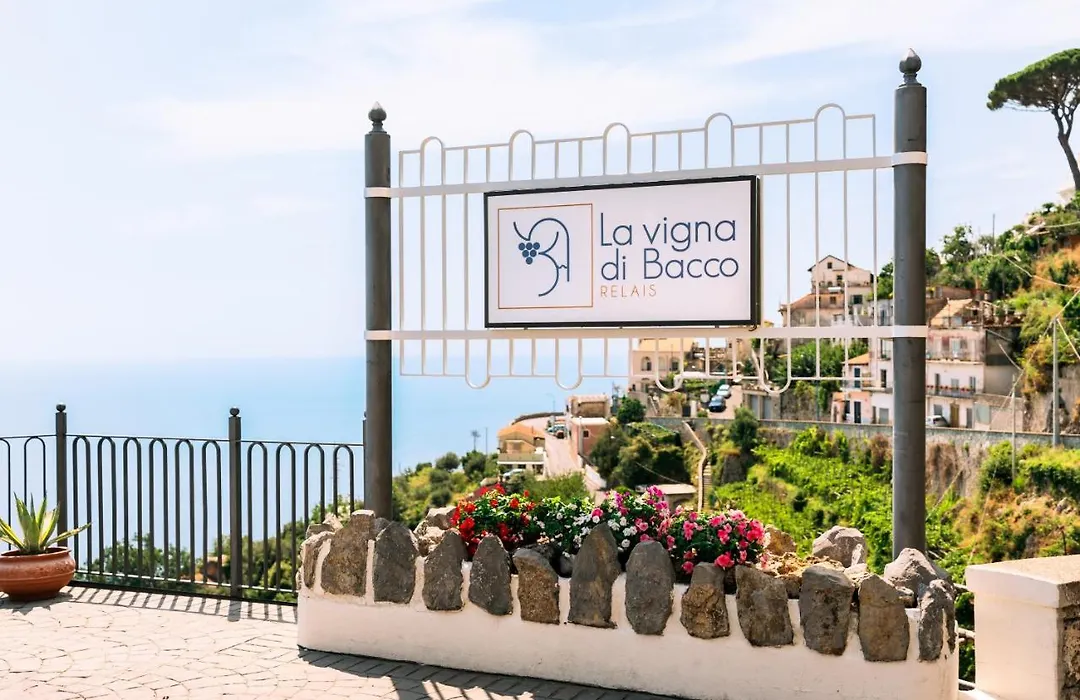 La Vigna di Bacco-1
