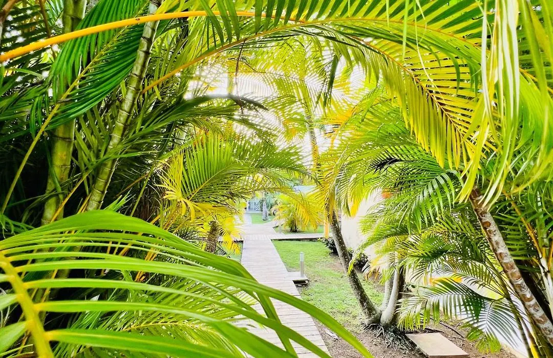 Île tropical lodges-1