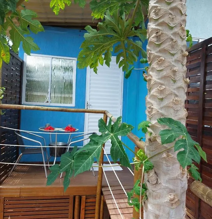 Casinha do Cadu-1