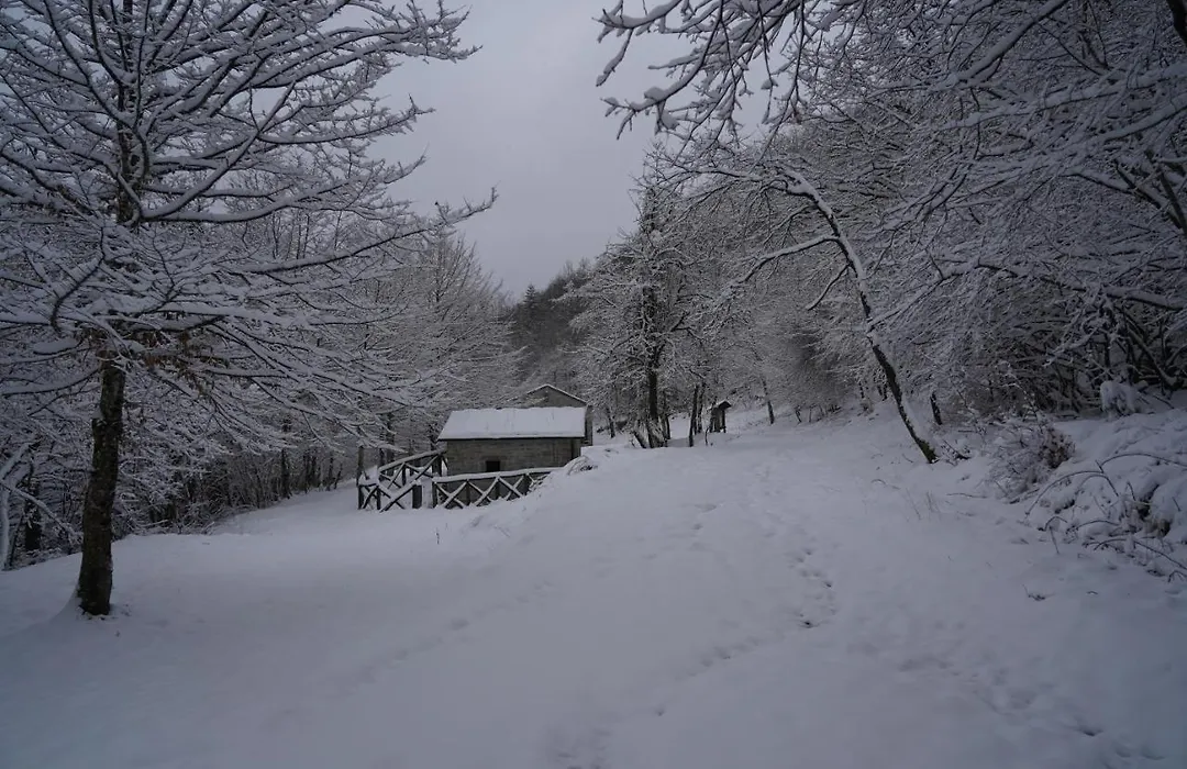 Mulino delle Cortine-1
