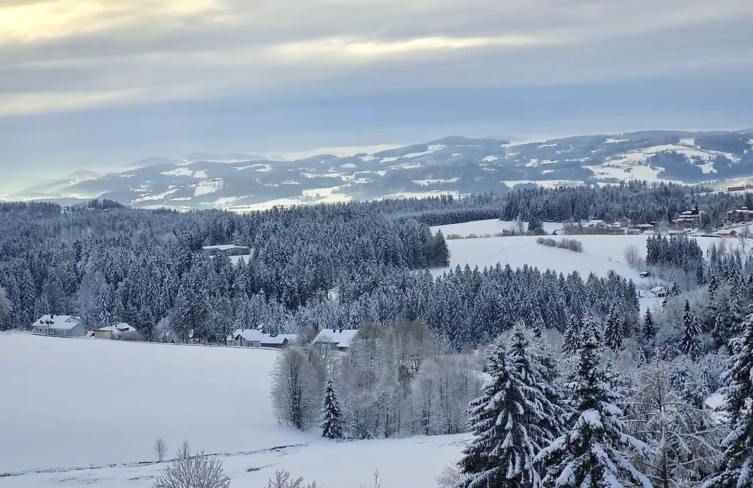 Panorama Bayerwald-1