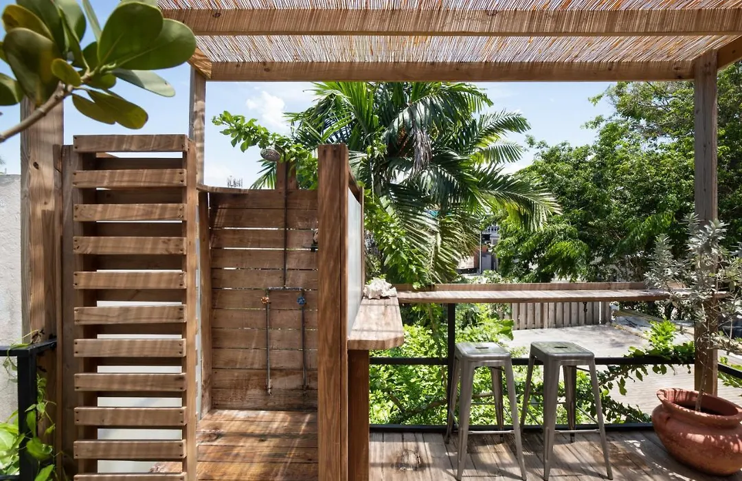 Casa Botanica-1