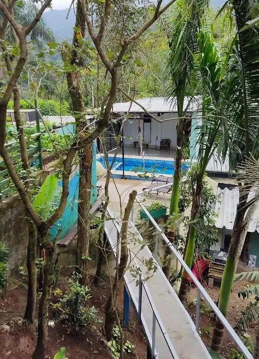 Canto dos Pássaros-1