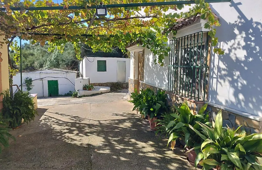 Casa el Pino-1