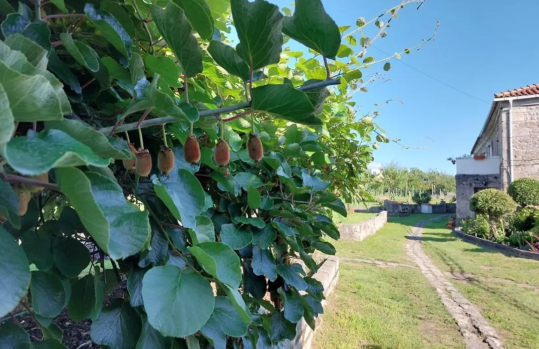 Quinta Da Ponte-1