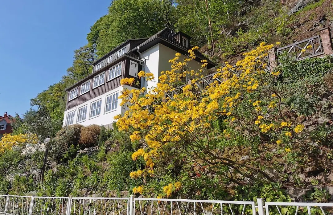 Villa Belvedere-1