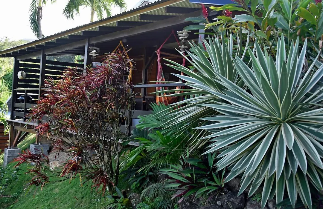 Domaine Karaibes-1