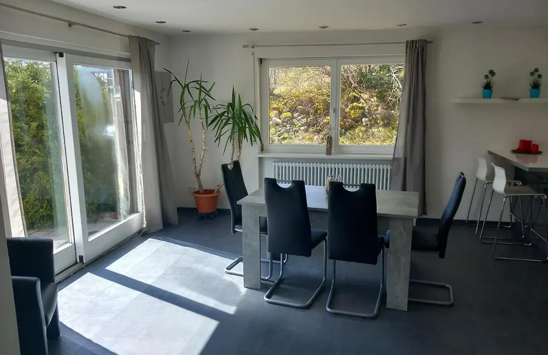 Haus Heidelberg-1