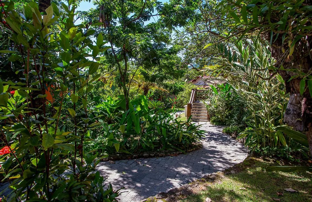 Hotel Alemão Beach de Ilhabela-1