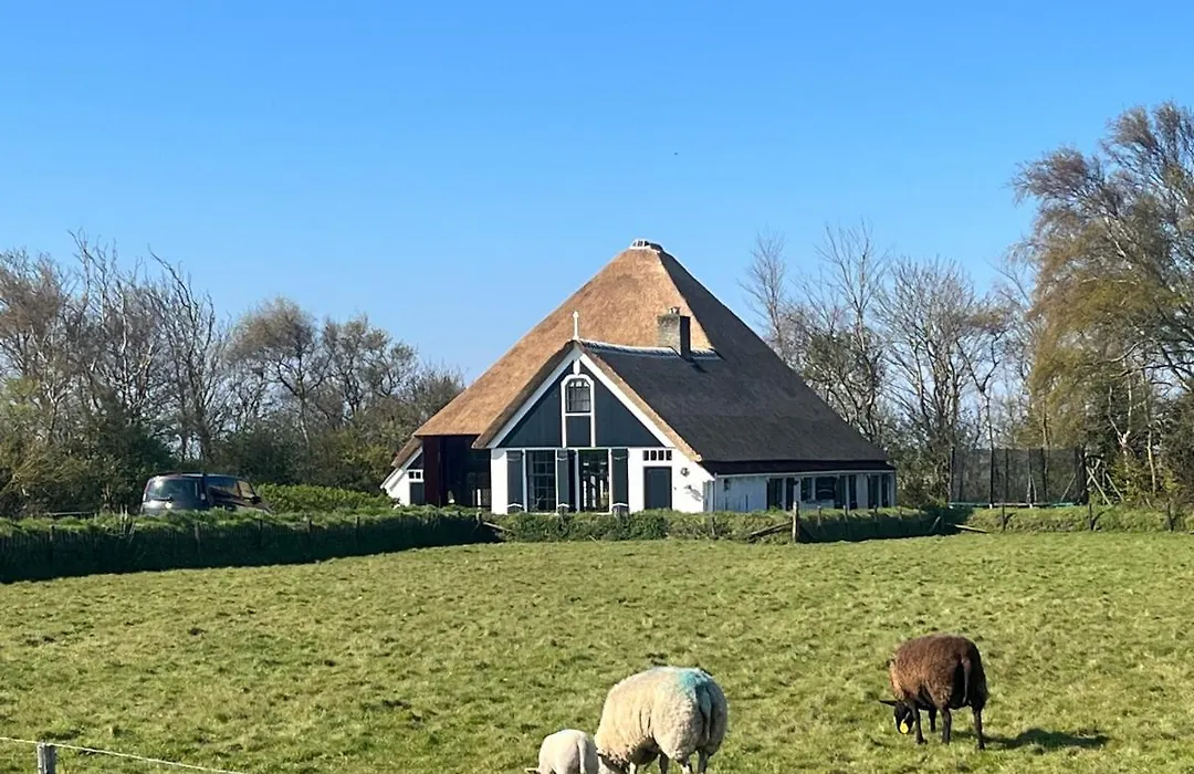 Zuid Haffel-1