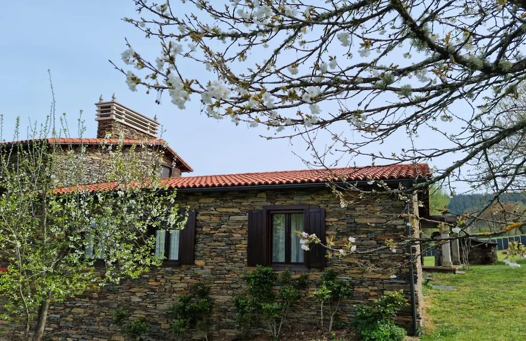 Casa Pro Pantea-1