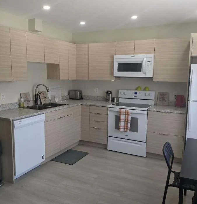 Elmwood Stay-1