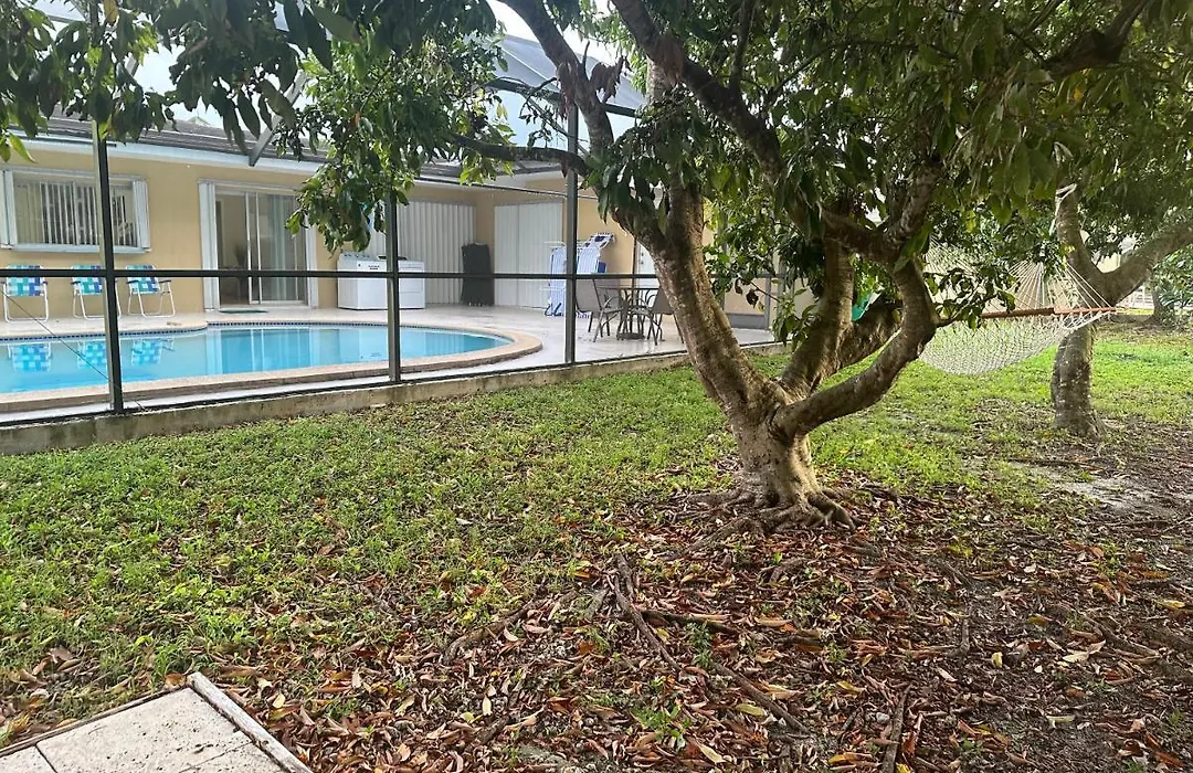 Airbnb Rental-1