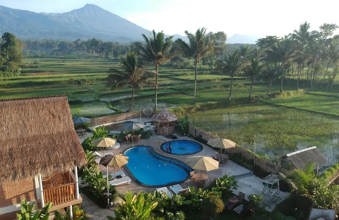 Tetebatu Flush Harmony-1