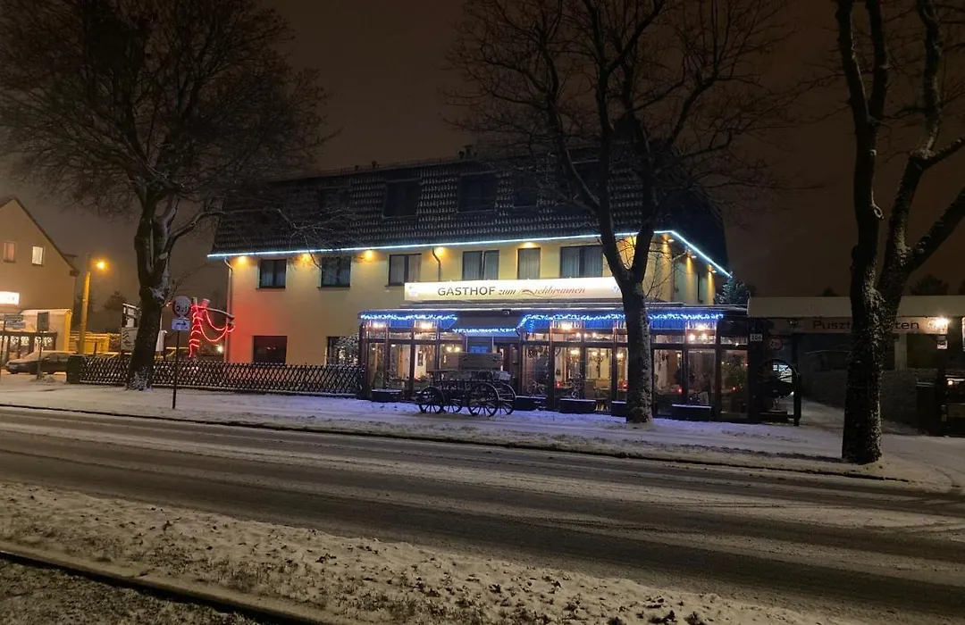 Hotel zum Ziehbrunnen-1