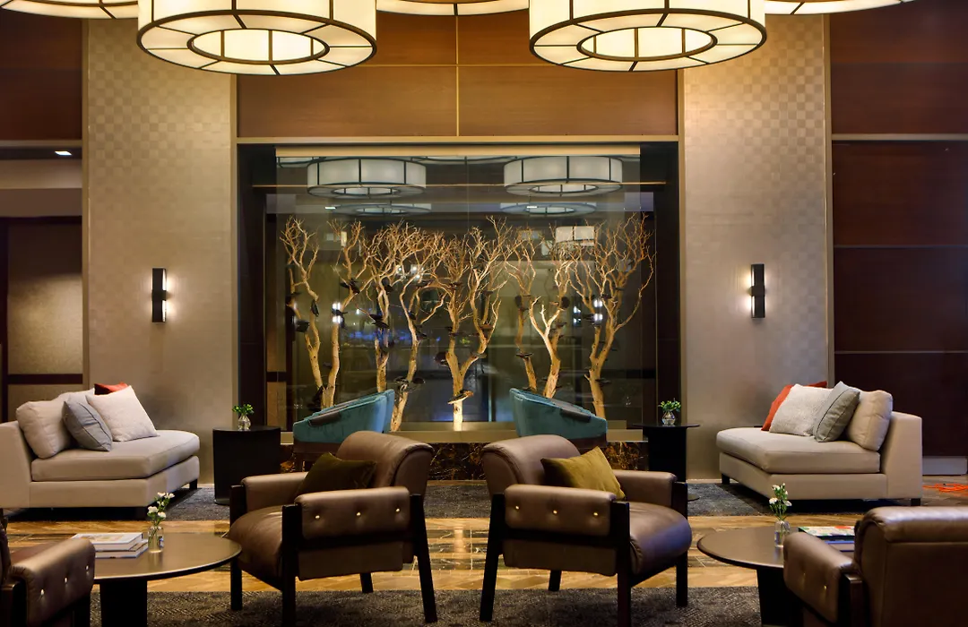 The Muse New York-1