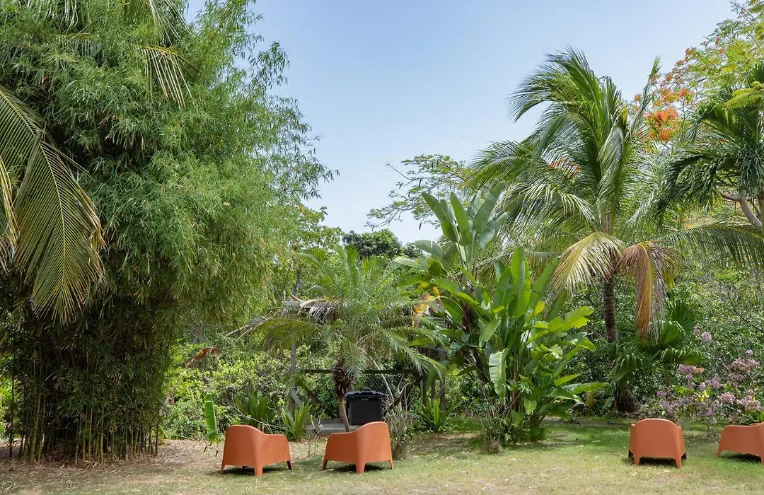 Vieques Tropical Guest House-1