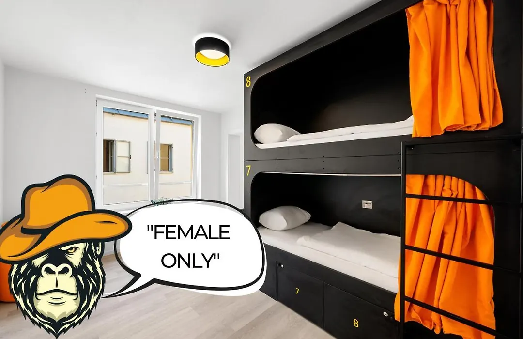 Stadtaffe - Chic Hostel VIE-1