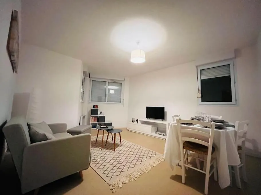 Appartement - Toulouse-1