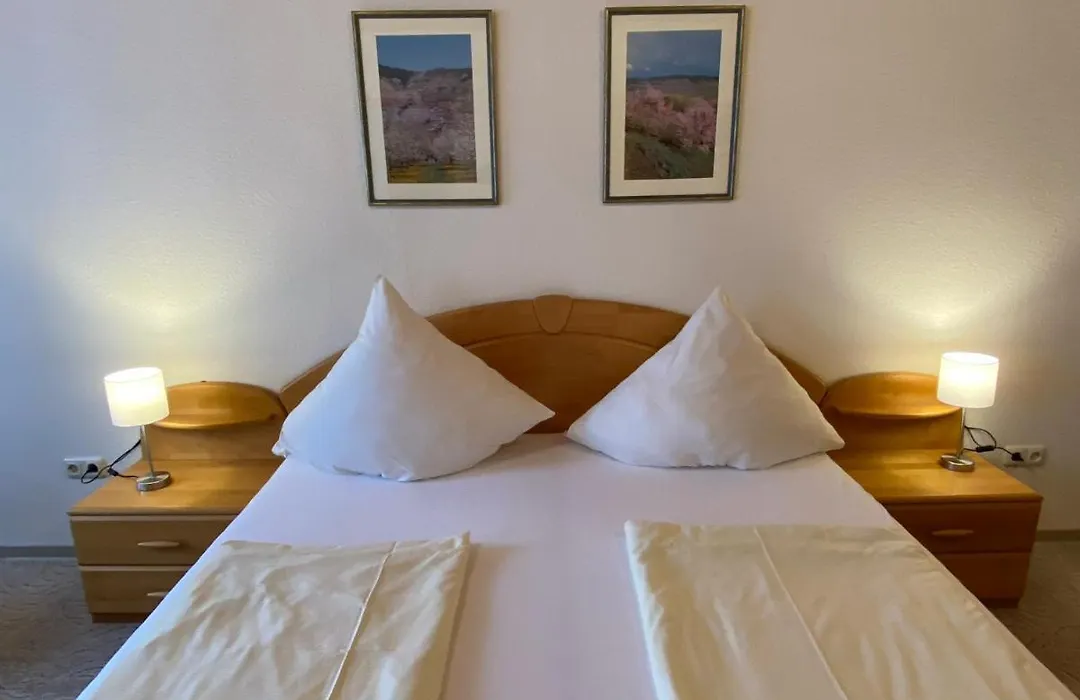 Hotel Hieronimi-1