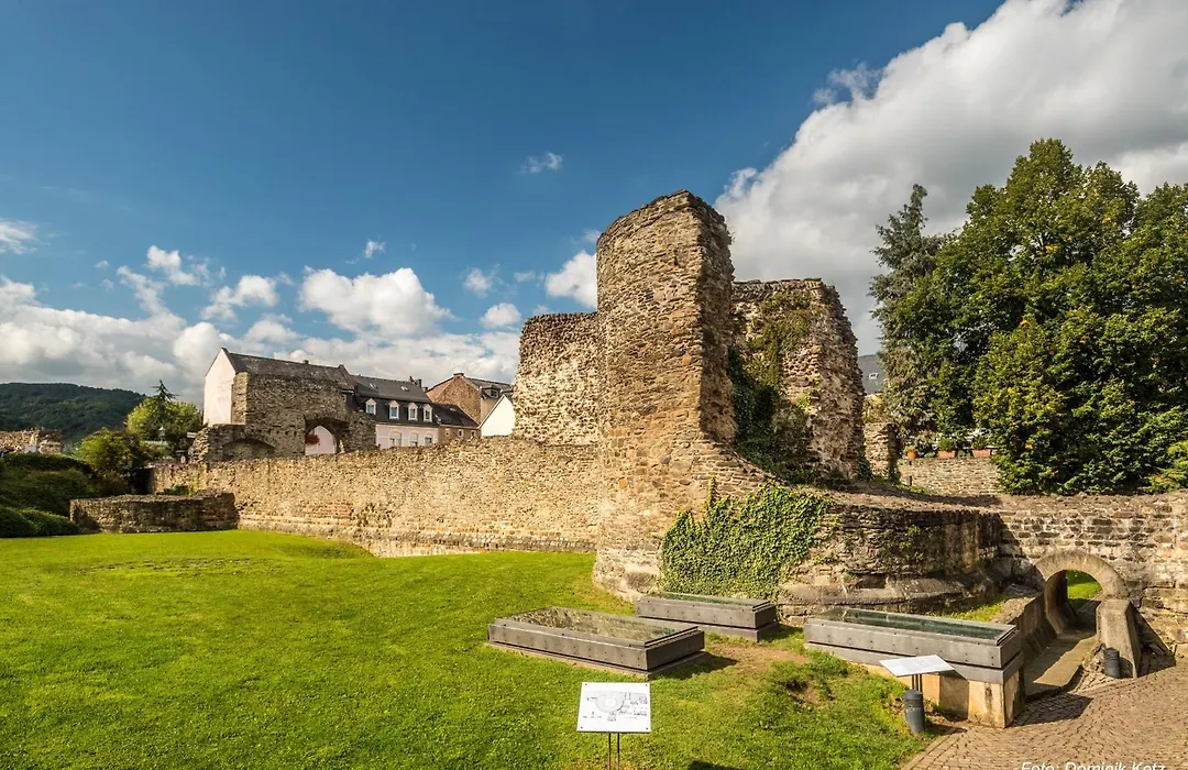 Rhein-Suites Boppard-1