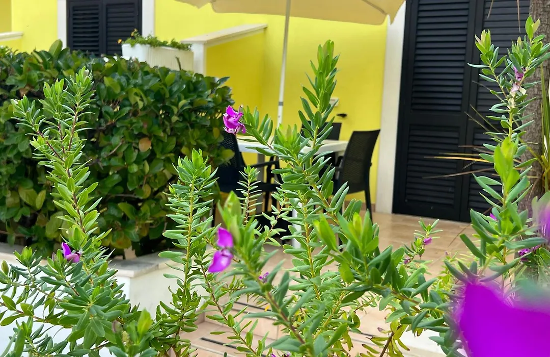 Argeste Club Vacanze-1