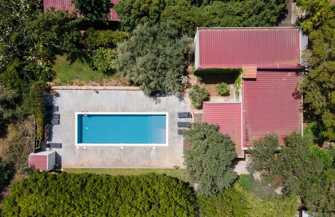Cottage sul lago - Officina Didattica-1