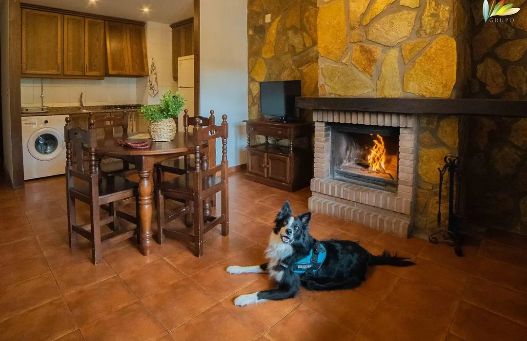 Apartamentos Los Olivos-1