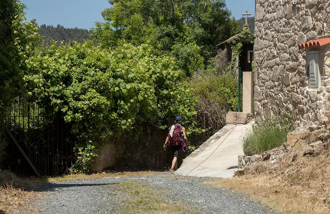 Landras de Compostela-1