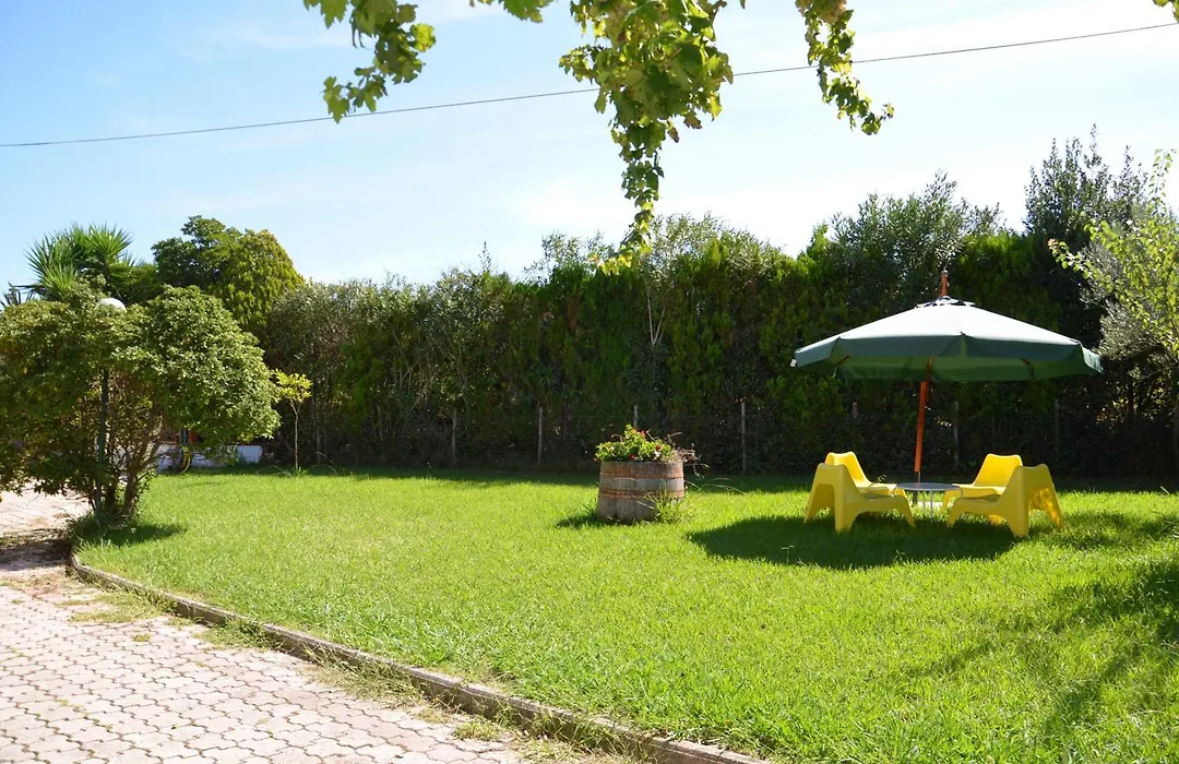 B&B Il Girasole-1