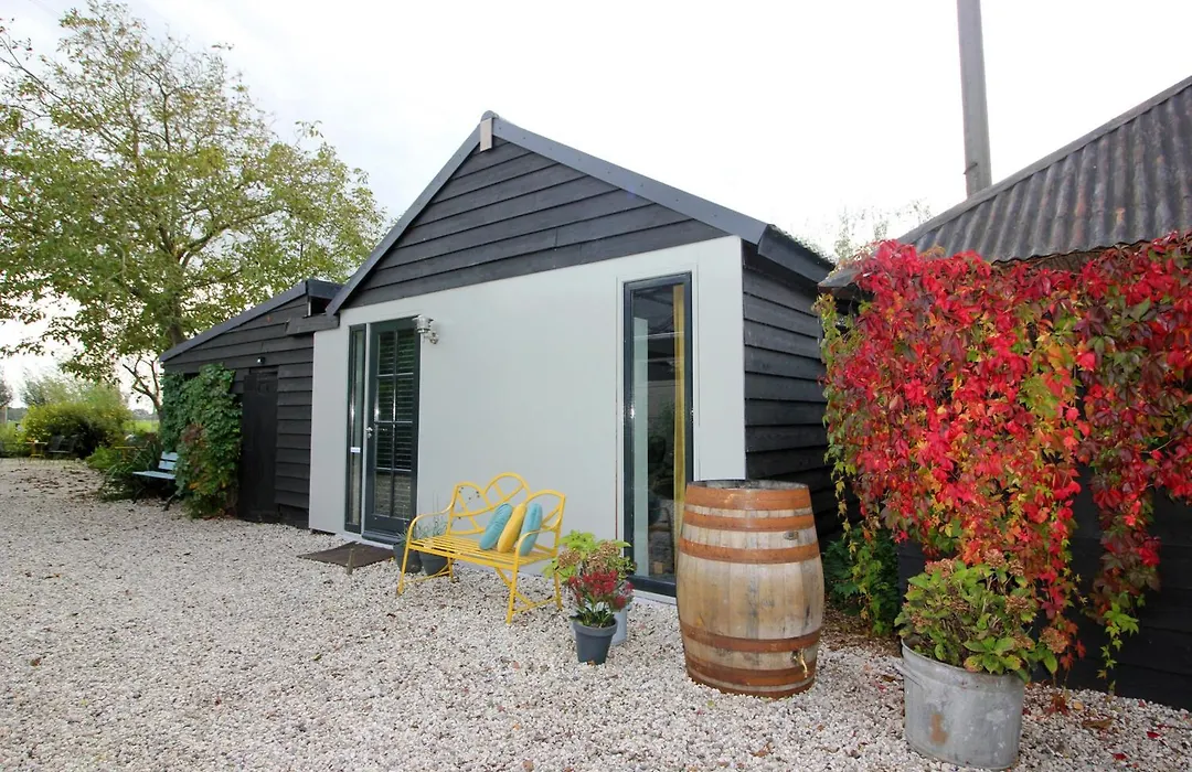 Bed&Breakfast De Ruige Weide-1