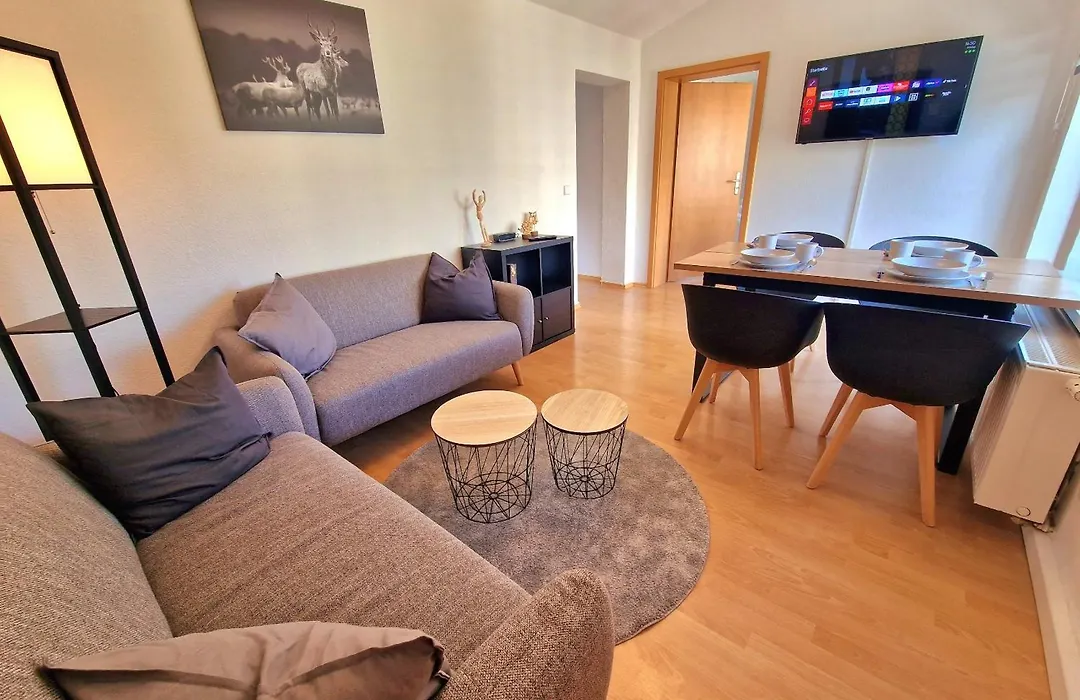 FEWO Anne Großzügige Wohnung im Zentrum von Chemnitz-1