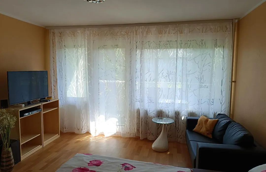 Offenburg Apartment-1