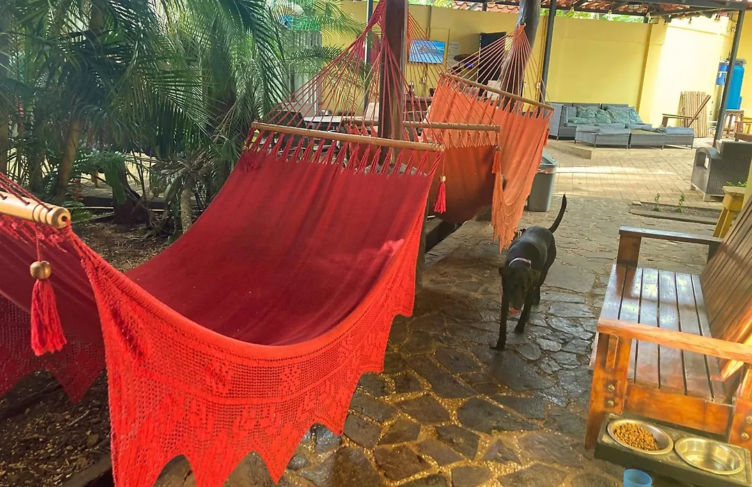 Tamarindo Backpackers-1