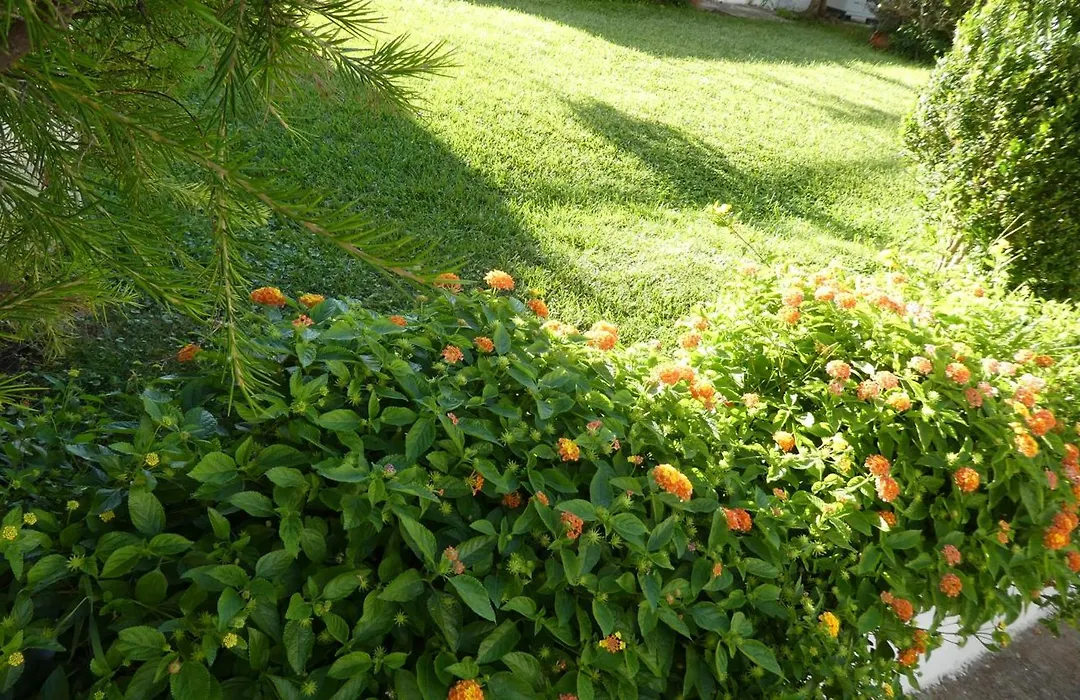 B&B Oliena-1