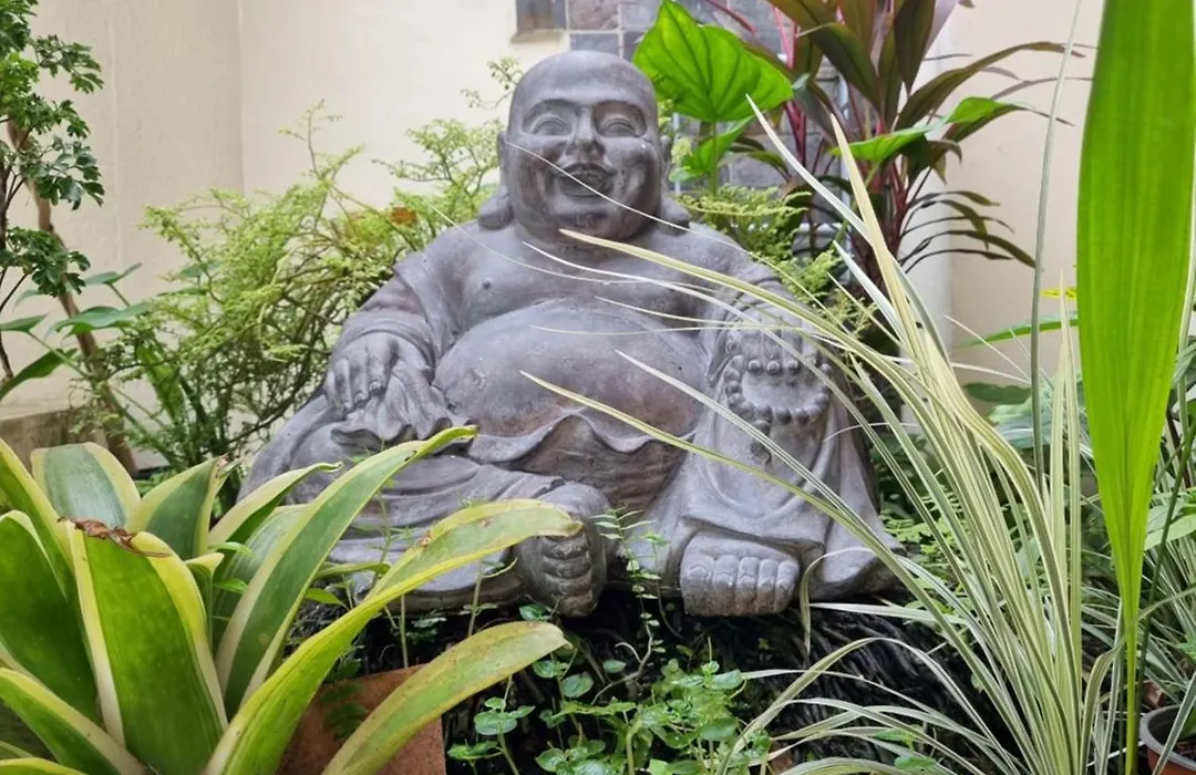 Bodhi Panama City-1