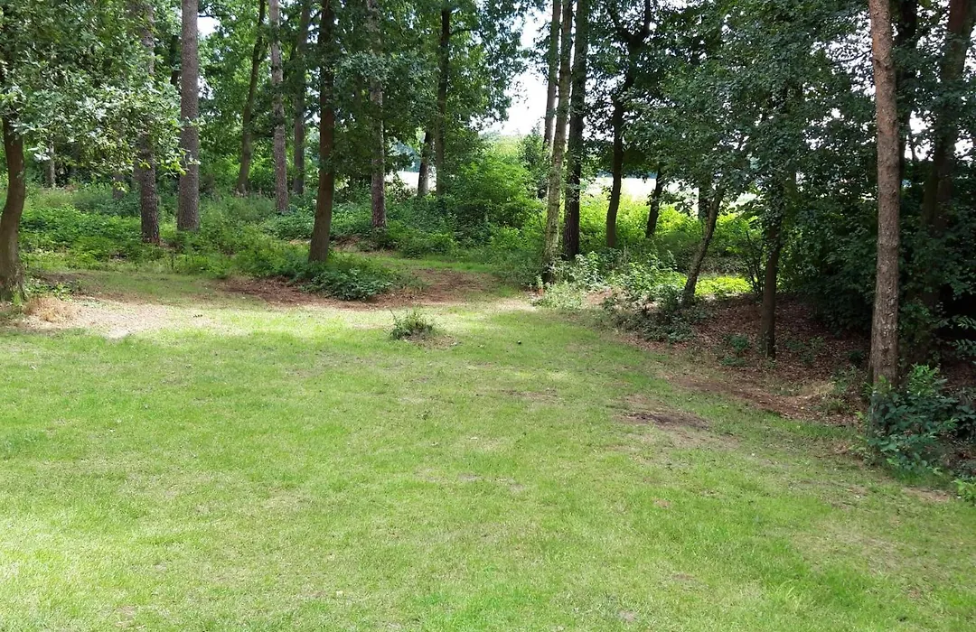 Vakantiehuis op top locatie #Ommen-1