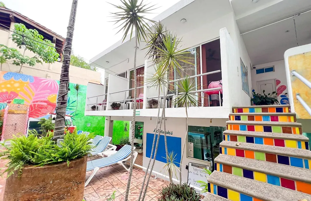 Ith Sayulita Amazing Surf Hostel-1