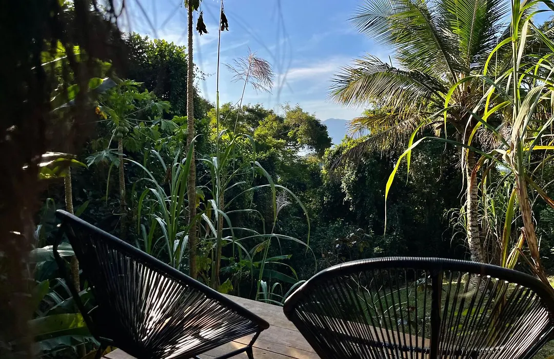 Jungle Lodge-1