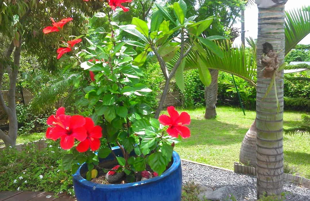 La Villa Zen-1