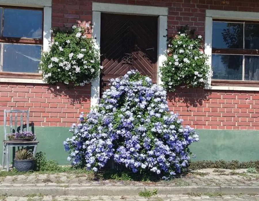 Gästehaus Fechtig-1